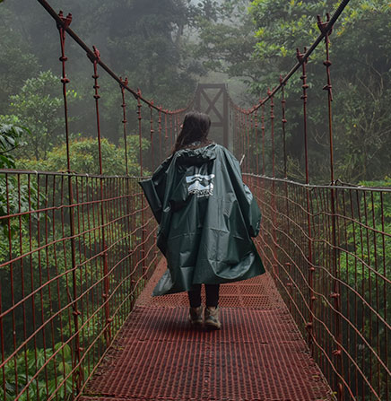 Monteverde-Hanging-Bridges-Tour