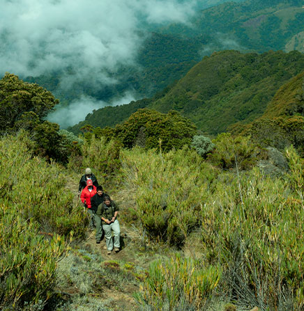 Costa Rica: Off The Beaten Path Treasures (15 days & 14 nights)