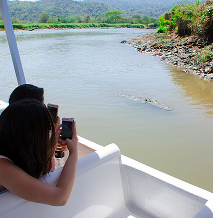 crocodile-tour-safari-tarcoles-river-costa-rica